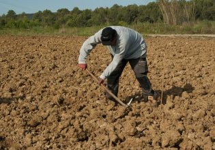 ΕΛΣΤΑΤ: Το υψηλό κόστος κρατάει ψηλά και τις τιμές