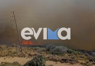 Κάρυστος: Ανεξέλεγκτη φωτιά, καίει μέσα στα σπίτια του χωριού Αμυγδαλιά