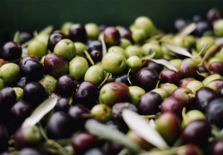 Κλοπές ελαιόλαδου: Αγρότης επικήρυξε τους δράστες που έκλεψαν ελιές