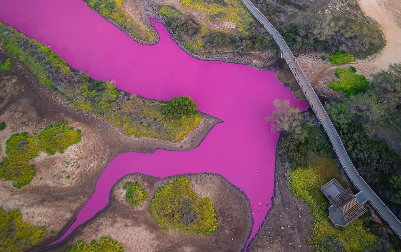Χαβάη: Μια ροζ λίμνη σαν τσιχλόφουσκα προκαλεί το ενδιαφέρον των επιστημόνων
