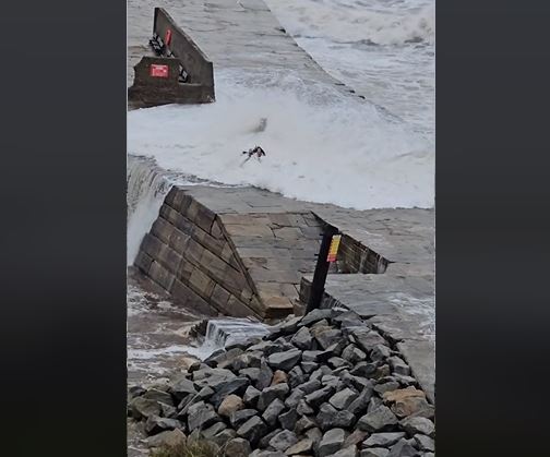 Σοκαριστικό βίντεο: Tουρίστρια παρασύρεται από ορμητικά κύματα για μια σέλφι