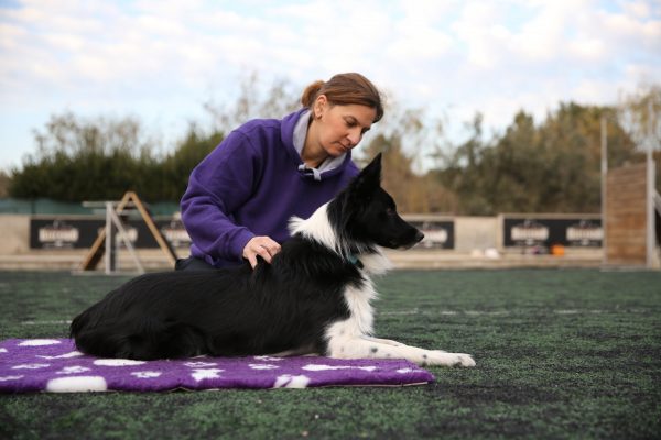 Σιάτσου: Το άγγιγμα που θεραπεύει τα ζώα