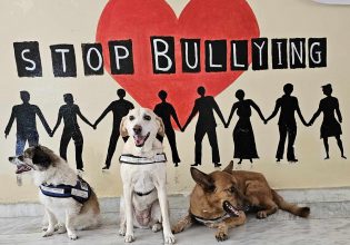 Οι σκύλοι διαμεσολαβητές απαλύνουν τις ψυχές των παιδιών