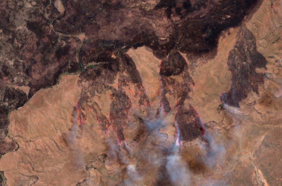 Αυστραλία: Ακραίος κίνδυνος για δασικές πυρκαγιές λόγω καύσωνα