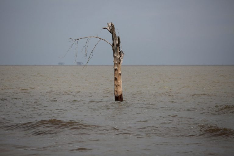 Η κλιματική κρίση σε γραφήματα