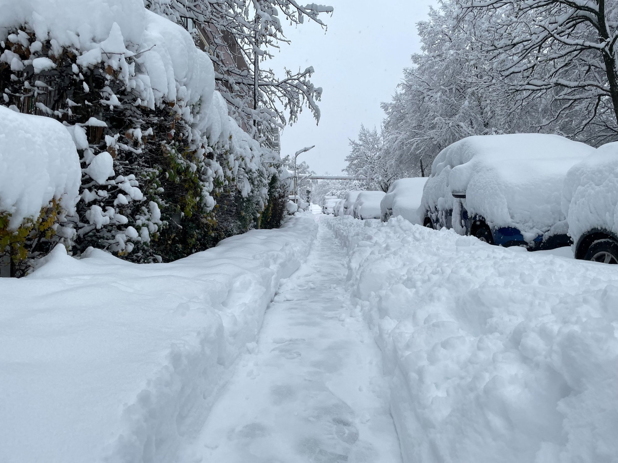Γερμανία: Χιονόπτωση ρεκόρ στο Μόναχο - Χωρίς ρεύμα χιλιάδες νοικοκυριά, χάος στις αεροπορικές συγκοινωνίες