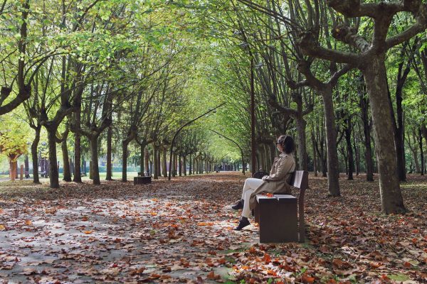 Είναι περήφανοι για το… «πράσινο» πνεύμα τους – Πώς μια μικρή πόλη έδιωξε τα αυτοκίνητα;