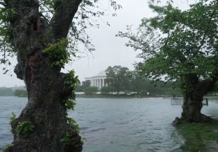 Η πόλη που είναι χτισμένη στο νερό και κινδυνεύει να «πνιγεί» – Και… δεν είναι η Βενετία