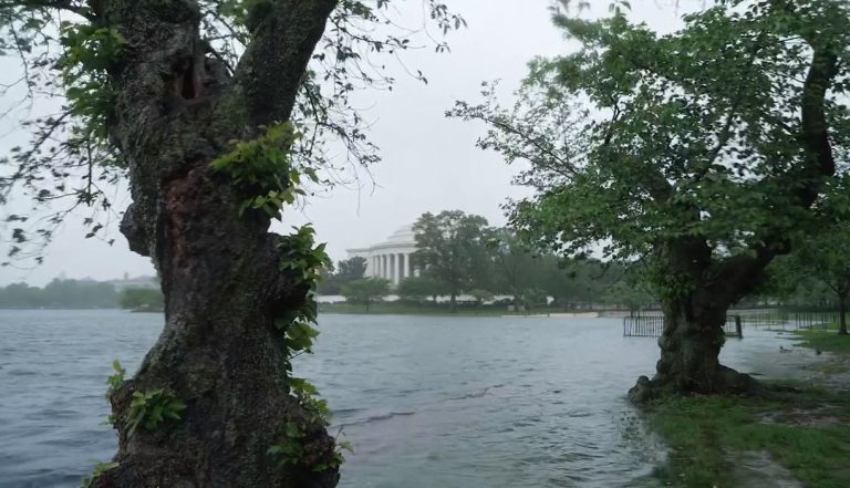 Η πόλη που είναι χτισμένη στο νερό και κινδυνεύει να «πνιγεί» – Και… δεν είναι η Βενετία