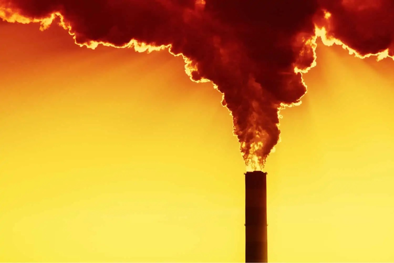 «Δώστε μας εξουσία», λένε οι επιστήμονες - «Η μόνη λύση» στην κλιματική αλλαγή