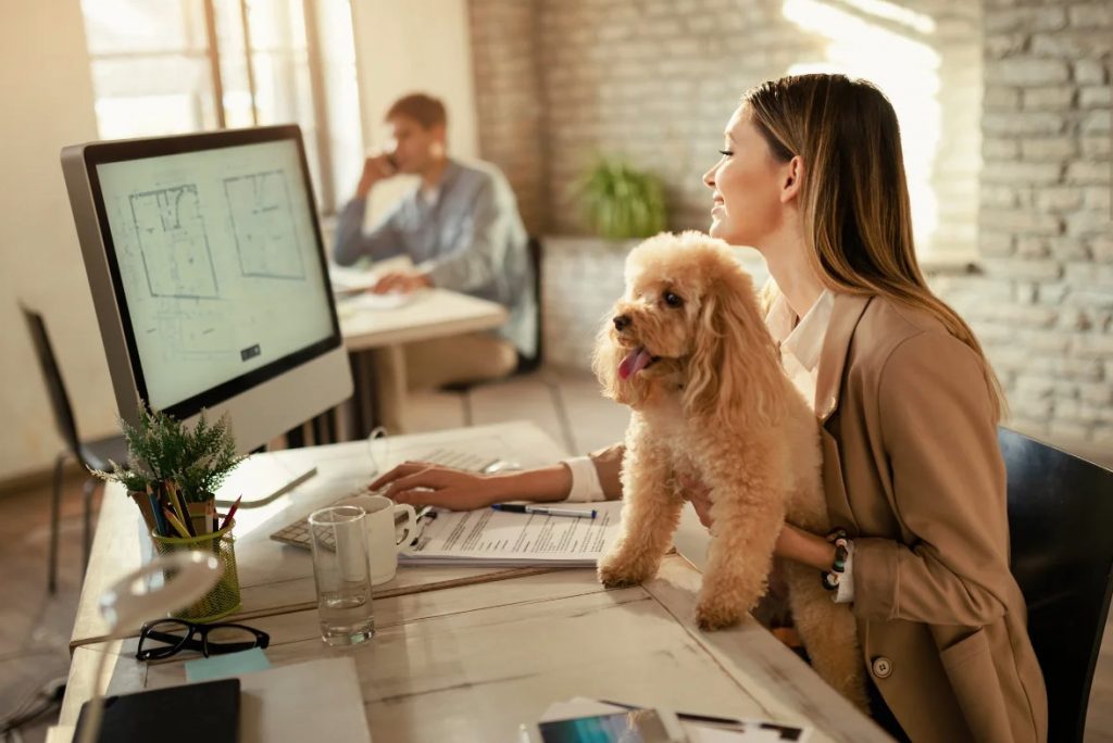 Μέχρι και νταντάδες για σκύλους υπόσχονται οι εργοδότες για να γυρίσουν τη γενιά Z στα γραφεία