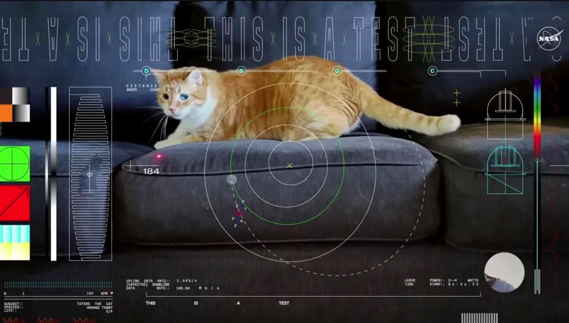 NASA: Ο Τάτερς το γατί σε πείραμα διαπλανητικής επικοινωνίας