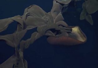 Πώς μία γυναίκα κατάφερε να χάσει κιλά τρώγoντας πίτσες και burgers