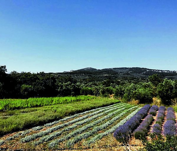 Από τη Χίο στην κορυφή της Ευρώπης