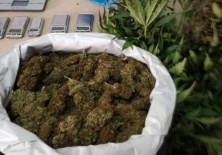 Κάνναβη: Εξάρθρωση εγκληματικής οργάνωσης – Πάνω από 800.000 ευρώ τα κέρδη τους