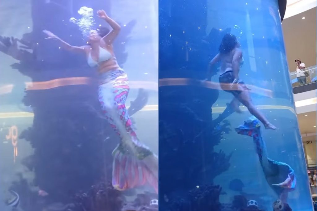 Νότια Αφρική: Επαγγελματίας γοργόνα κινδύνεψε να πνιγεί κατά τη διάρκεια παράστασης