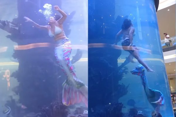 Νότια Αφρική: Επαγγελματίας γοργόνα κινδύνεψε να πνιγεί κατά τη διάρκεια παράστασης