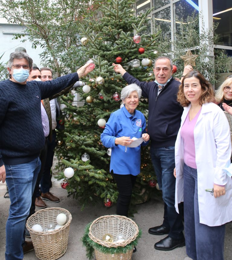 Ο Δήμος Πειραιά στόλισε «Τα δένδρα της Ελπίδας»