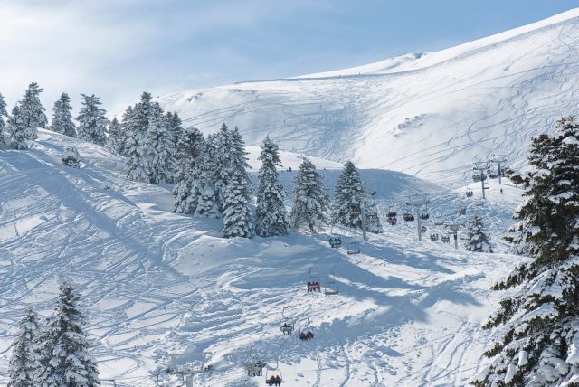 Ημέρα Βουνού στο Δήμο Ελασσόνας