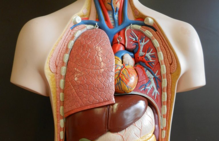 Γήρανση: Εξέταση αίματος μετρά τη βιολογική ηλικία των οργάνων σας