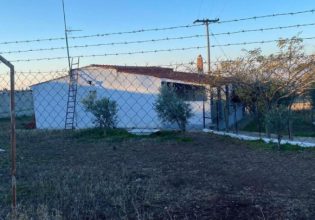 Θεσσαλονίκη: «Ο σκύλος όταν φοβάται, φεύγει μακριά» λέει ο Θοδωρής Τριάντης