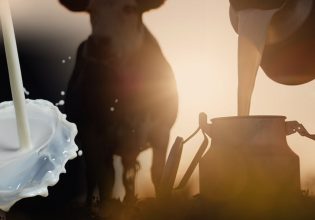 Εκτοξεύτηκε η τιμή του γάλακτος μέσα σε έναν χρόνο – Έρευνα της Επιτροπής Ανταγωνισμού