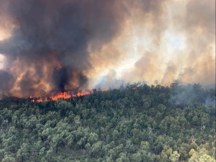 Αυστραλία: Πλήττεται από κύμα καύσωνα - Μαίνονται πάνω από 50 πύρινα μέτωπα