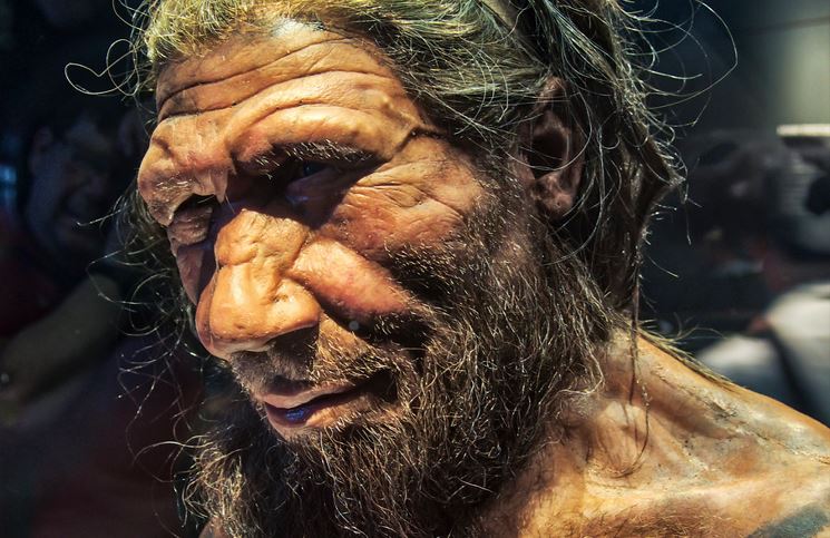 Do you find it easy to wake up early?  You may have Neanderthal ancestry