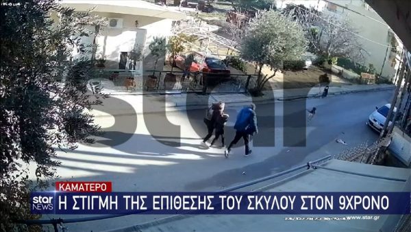 Η στιγμή της επίθεσης του σκύλου στο 9χρονο αγόρι – Σε σοκ το παιδί