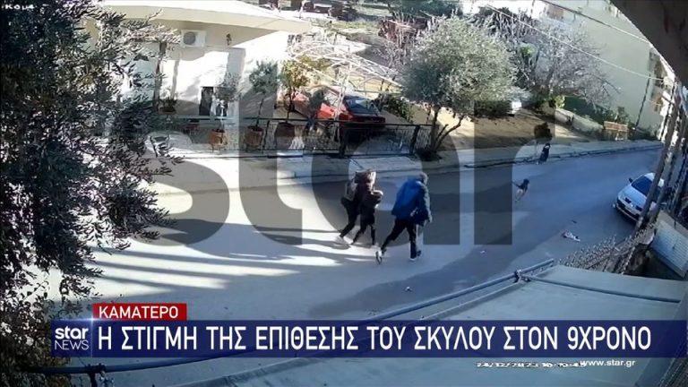 Η στιγμή της επίθεσης του σκύλου στο 9χρονο αγόρι – Σε σοκ το παιδί