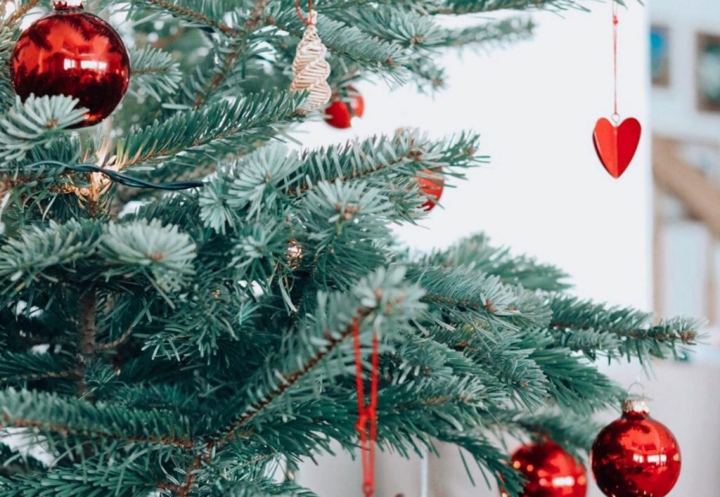 Ακριβό μου δέντρο – Το top 10 των πιο πολύτιμων χριστουγεννιάτικων δέντρων