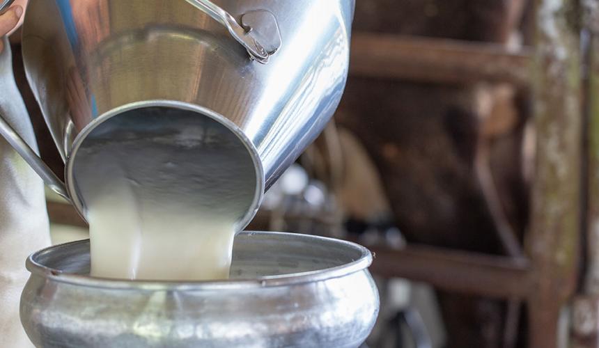 Διατηρεί τις δυνάμεις του ο τομέας του γάλακτος – Οι προκλήσεις της επόμενης 12ετίας