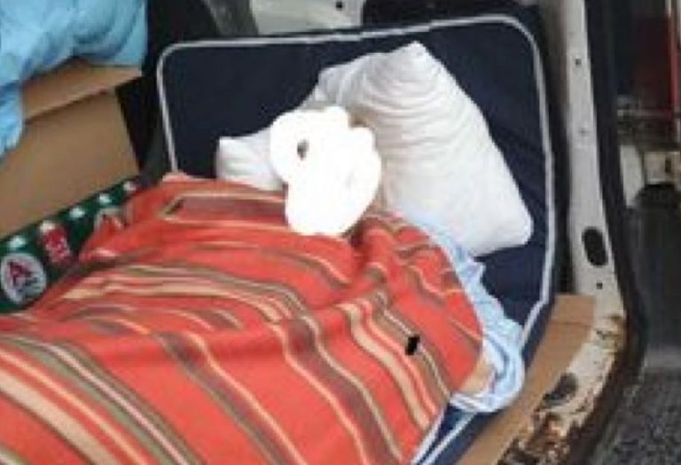 Ρόδος: Μετέφεραν με φορτηγάκι από το νοσοκομείο στο σπίτι της 85χρονη με εγκεφαλικό