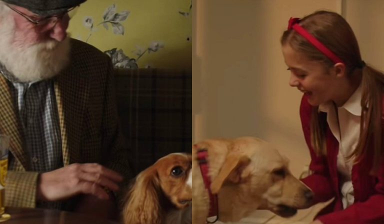 «Ο σκύλος μου ήταν άρρωστος και πήγε στον παράδεισο»: Η πιο συγκινητική χριστουγεννιάτικη διαφήμιση