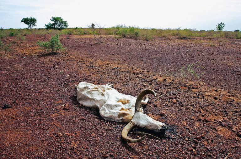COP28: Εμμονικοί Κινέζοι και Ρώσοι, «γλυκομίλητοι» Δυτικοί και τα θύματα οι Αφρικανοί