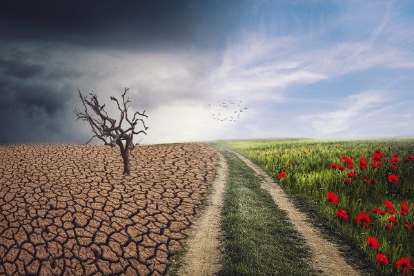 Κλιματική κρίση: Aπειλεί με «ερημοποίηση» την οικονομία – Ποιο είναι το σημείο καμπής