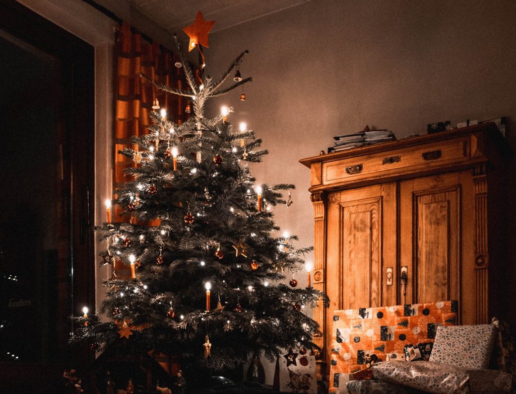 Βρετανία: Η πιο πρωτότυπη ιδέα – «Νοικιάστε το έλατό σας για πιο οικολογικά Χριστούγεννα»