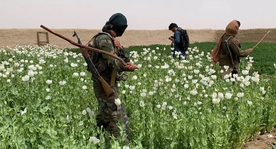 Το Αφγανιστάν σταμάτησε την καλλιέργεια οπίου