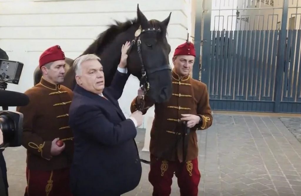 Βίκτορ Όρμπαν: Το καθαρόαιμο άλογο που έκανε δώρο στον Ρετζέπ Ταγίπ Ερντογάν