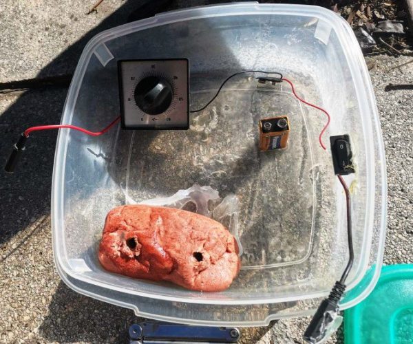 Ζωγράφου: «Αν η βόμβα είχε εκραγεί, θα κινδύνευαν φοιτητές και διερχόμενοι πολίτες» λέει η αστυνομία