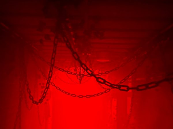 Συλλήψεις στη Ρουμανία: Η σέκτα που έφτιαξε «γκουρού της γιόγκα» που βίαζε και απήγαγε