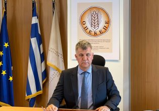 Καταιγιστικές εξελίξεις στον ΟΠΕΚΕΠΕ – Αναμένεται και η παραίτηση Σημανδράκου