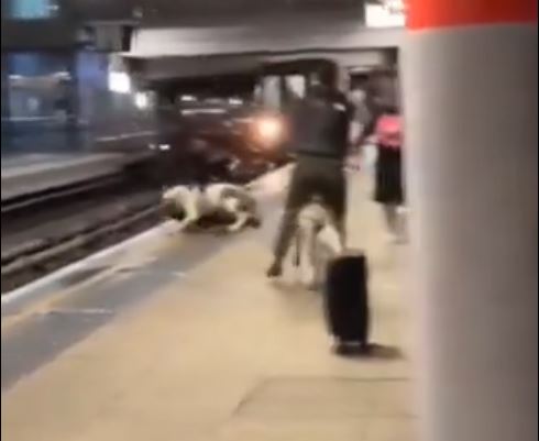 Βρετανία: Η τρομακτική στιγμή που σκυλιά επιτίθενται σε άντρα σε σταθμό τρένου