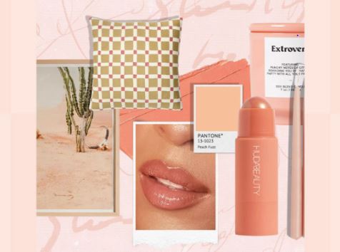 Το χρώμα της χρονιάς για το 2024 της Pantone είναι το Peach Fuzz