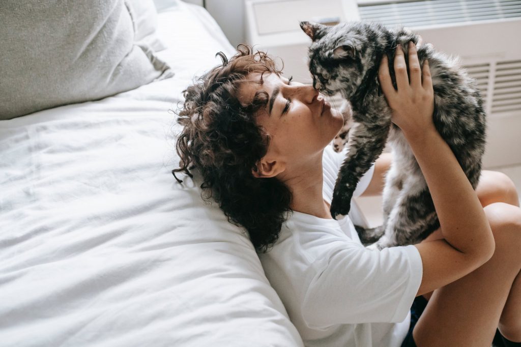 12 τρόποι που η γάτα σας εκδηλώνει την αγάπη της