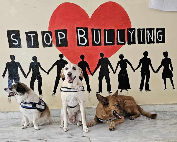 Οι σκύλοι διαμεσολαβητές απαλύνουν τις ψυχές των παιδιών