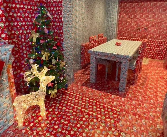 TikTok: Μετέτρεψε το σπίτι του σε ένα τεράστιο χριστουγεννιάτικο «δώρο» - Μάζεψε 6,5 εκατ. views σε λίγες ώρες