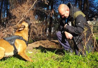 Οι σκύλοι έρευνας και διάσωσης που σώζουν ανθρώπινες ζωές
