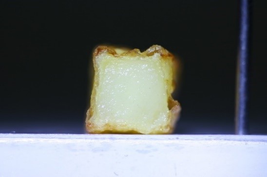 %CE%BA%CF%81%CE%BF%CF%85%CF%83%CF%84%CE%B1%CE%BA%CE%B1%CE%B9%CF%85%CF%86%CE%B7%CF%80%CE%B1%CF%84%CE%B1%CF%84%CE%B1%CF%822