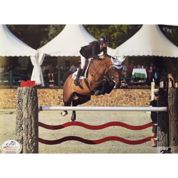 Ιόλη Μυτιληναίου: Μία Ελληνίδα αμαζόνα στους Ολυμπιακούς Αγώνες